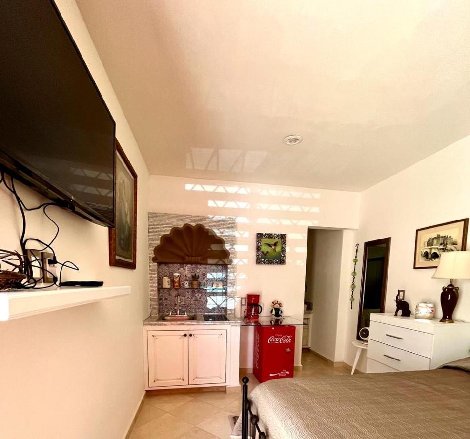 Small Pet Friendly, Pool And Gym Apartment San Miguel de Allende Exterior foto