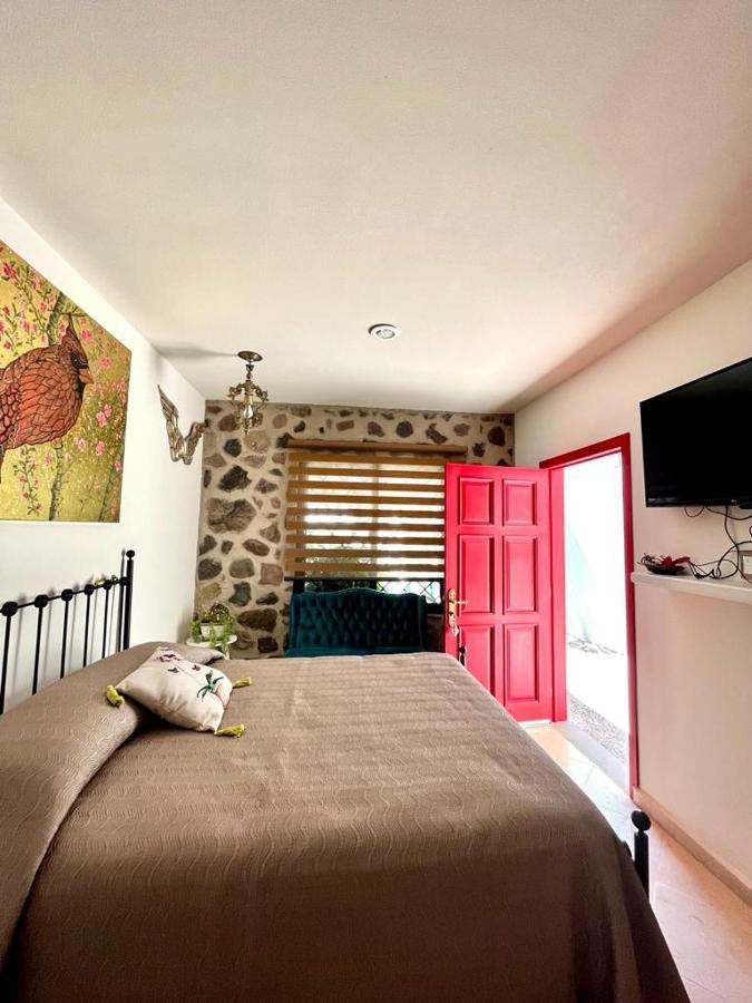 Small Pet Friendly, Pool And Gym Apartment San Miguel de Allende Exterior foto
